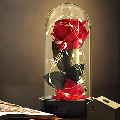 Beauty and The Beast Rose Lamp