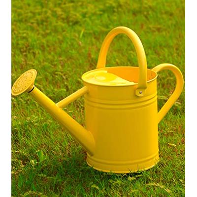 Watering Can for Outdoor Plants