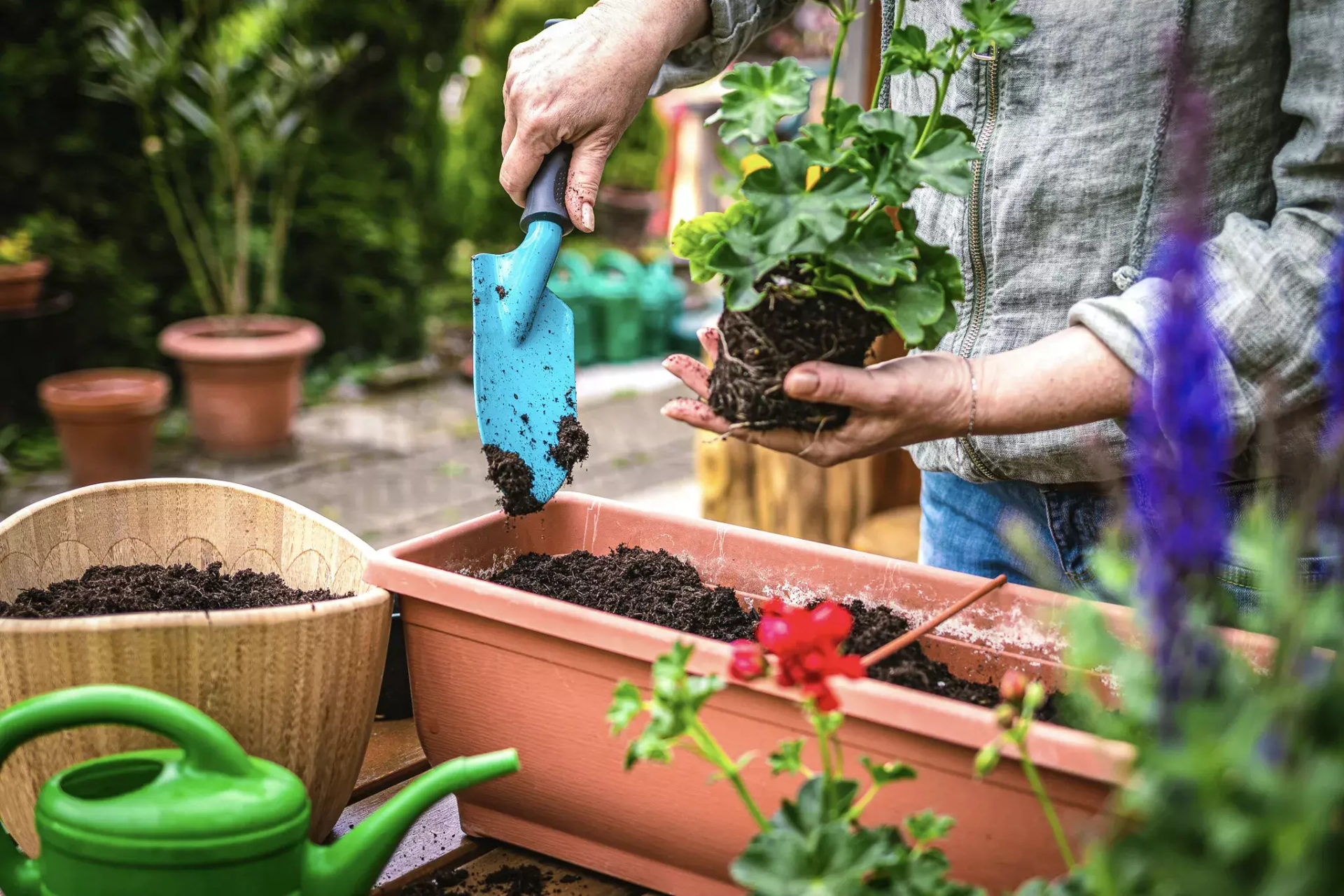Best Gardening Tools for Beginners & Experts